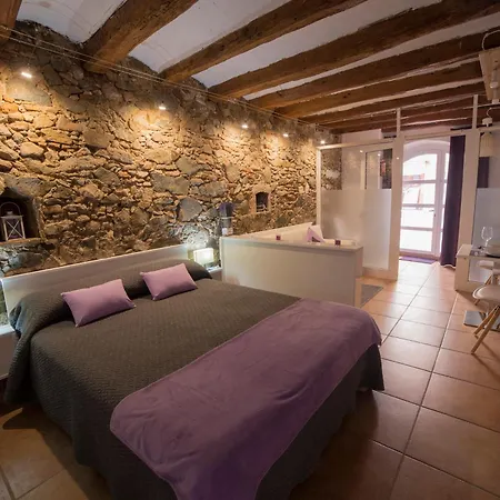 Espigol Priorat - Estudio Falset